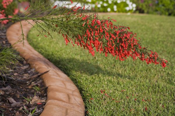 Brick Edging in Littleton
