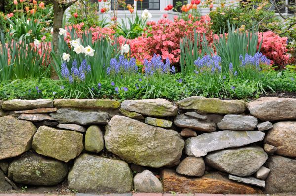 Stone Wall Hardscaping in Littleton