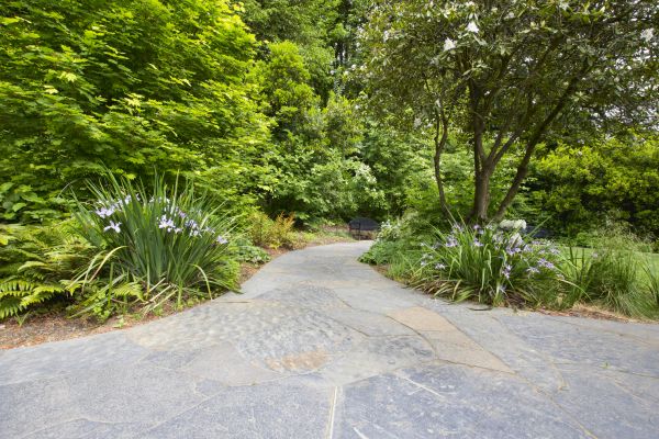 Stone Hardscape Service in Littleton